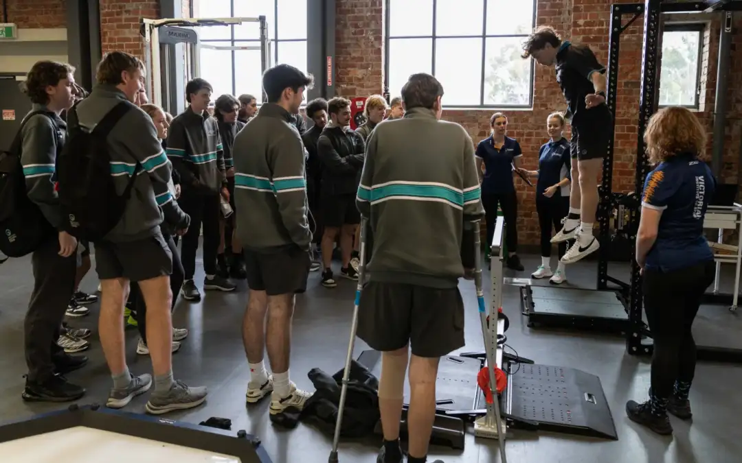 VIS Advancement Series